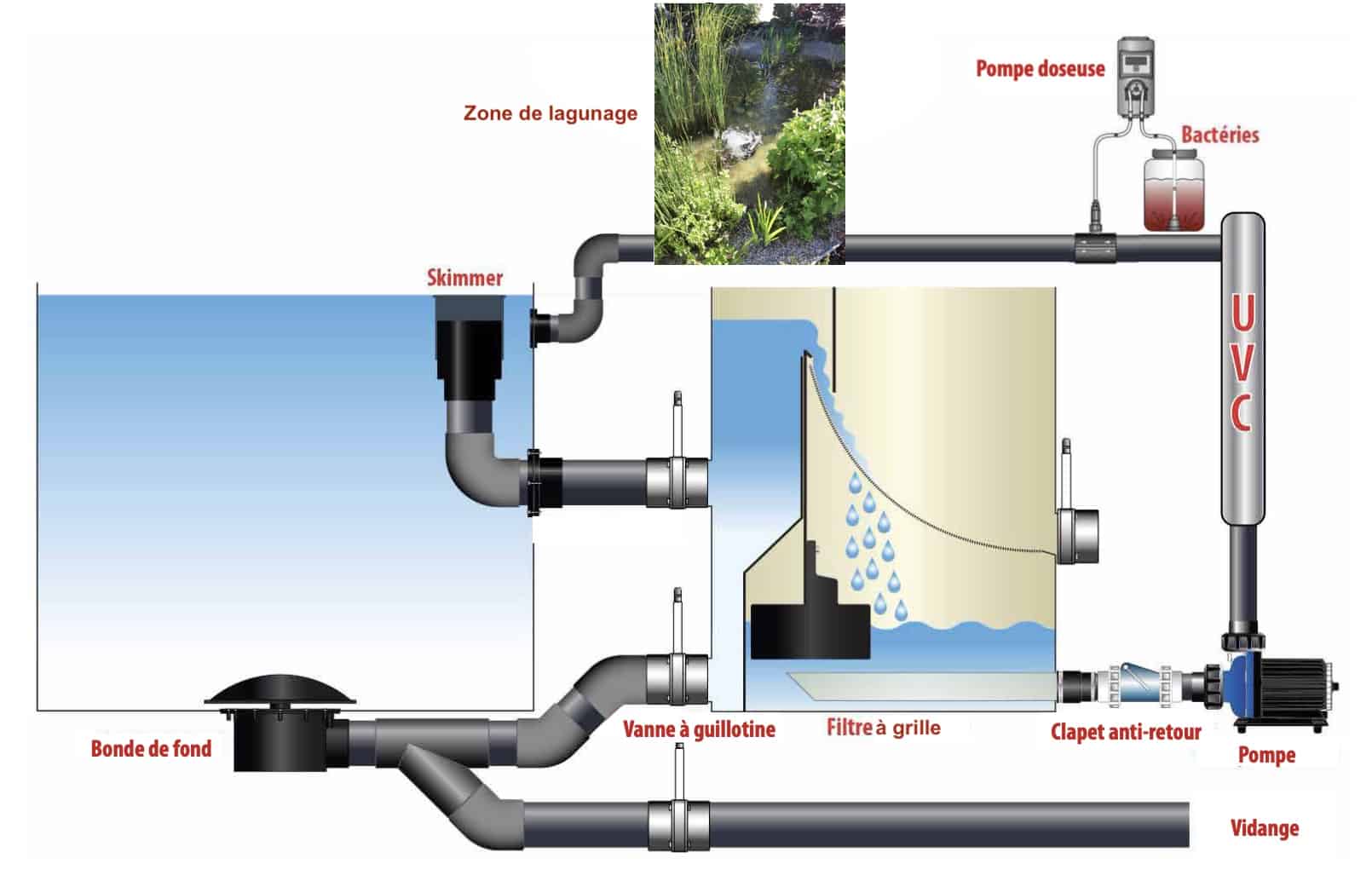 Groupe de filtration pour étang de baignade naturel